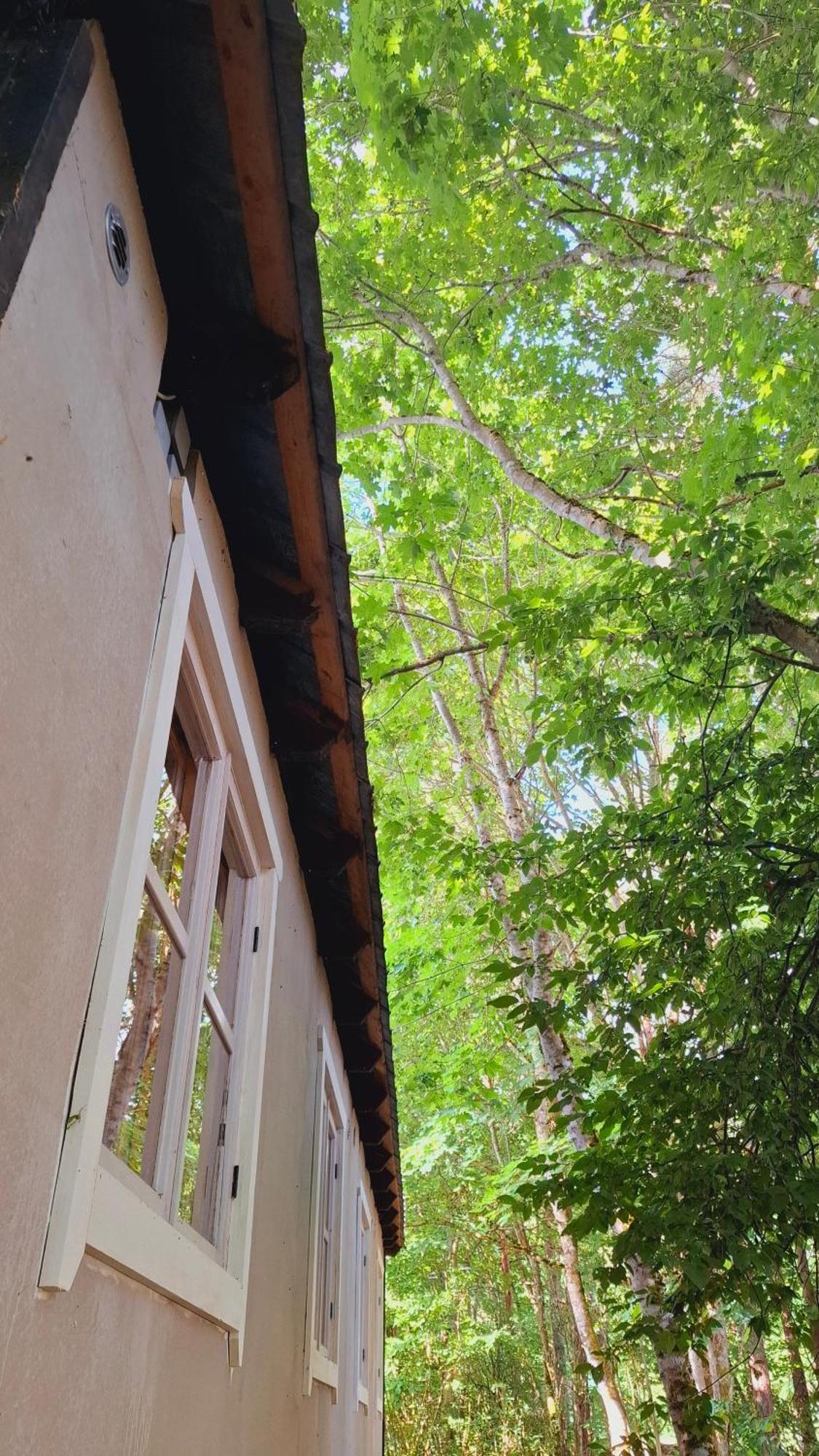 Kardoni Puhkelaager Tornimae Bagian luar foto